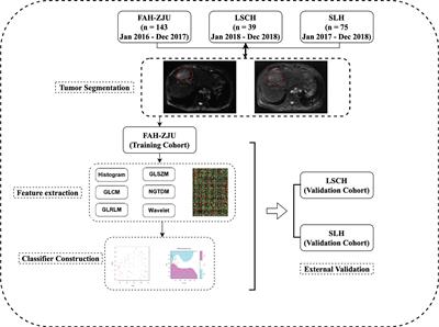 MRI-Radiomics Prediction for Cytokeratin 19-Positive Hepatocellular Carcinoma: A Multicenter Study